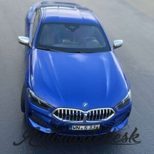 Model auta BMW 8-SERIES 850i COUPE (F92), 2019